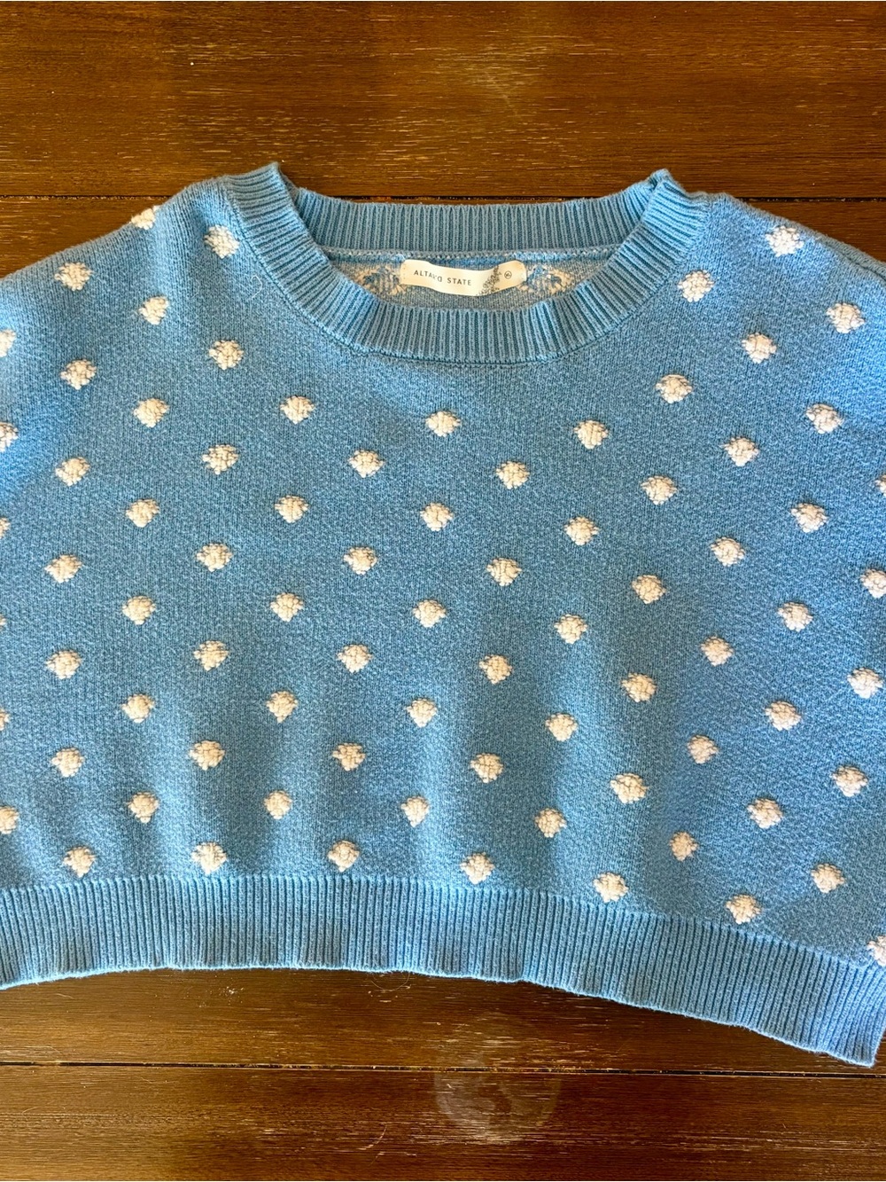 Altar'd State Light Blue Crewneck Sweater with White Dot Texture